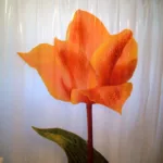 Shower Curtain
