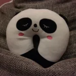 Neck Pillow